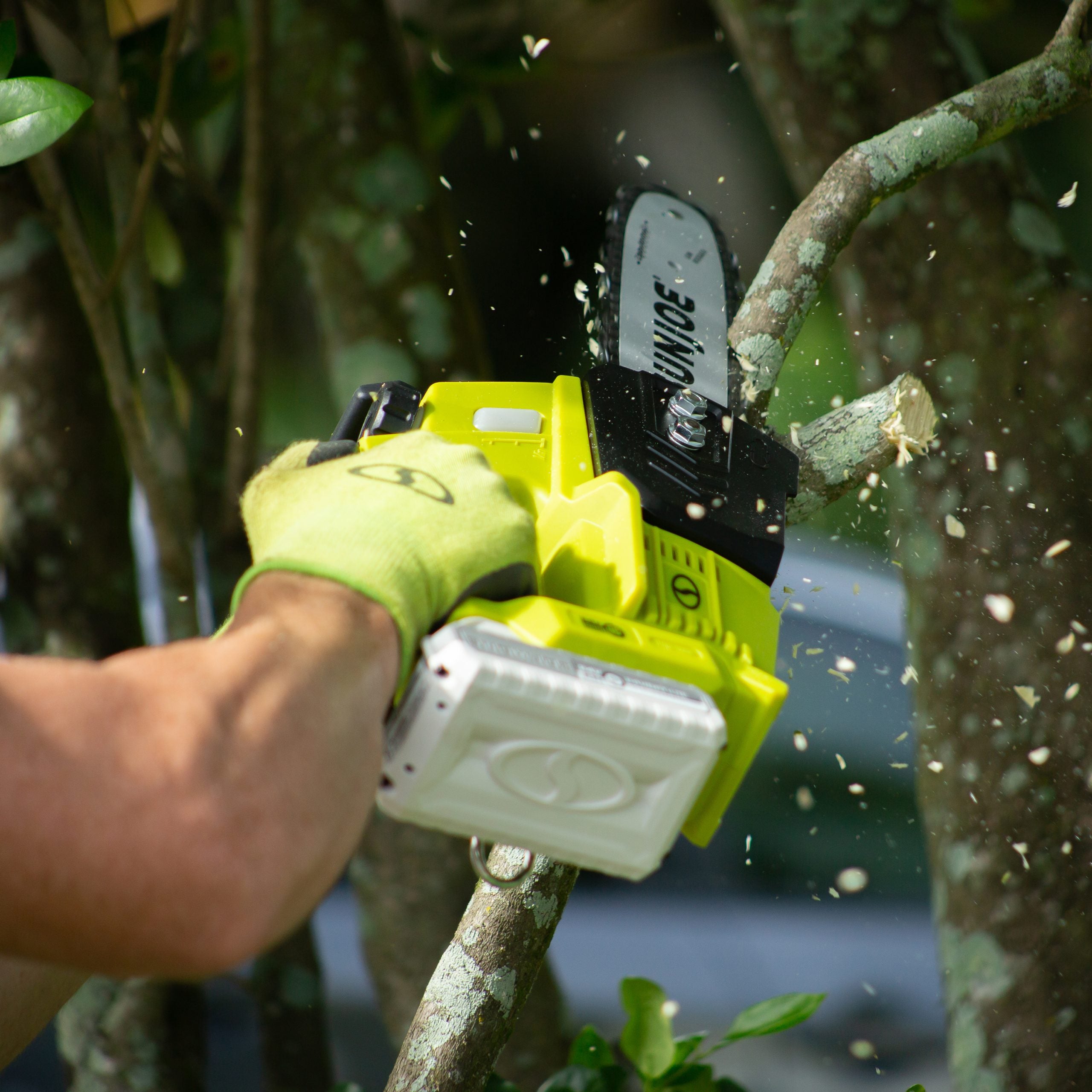 Sun Joe 24V iON 10 In, 4.0Ah Cordless Self Oiling Chain Saw, Tool-Less Bar/Chain Tension