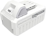 Snow Joe + Sun Joe 24-Volt IONMAX Starter Kit | W/ 5.0-Ah Battery + Charger