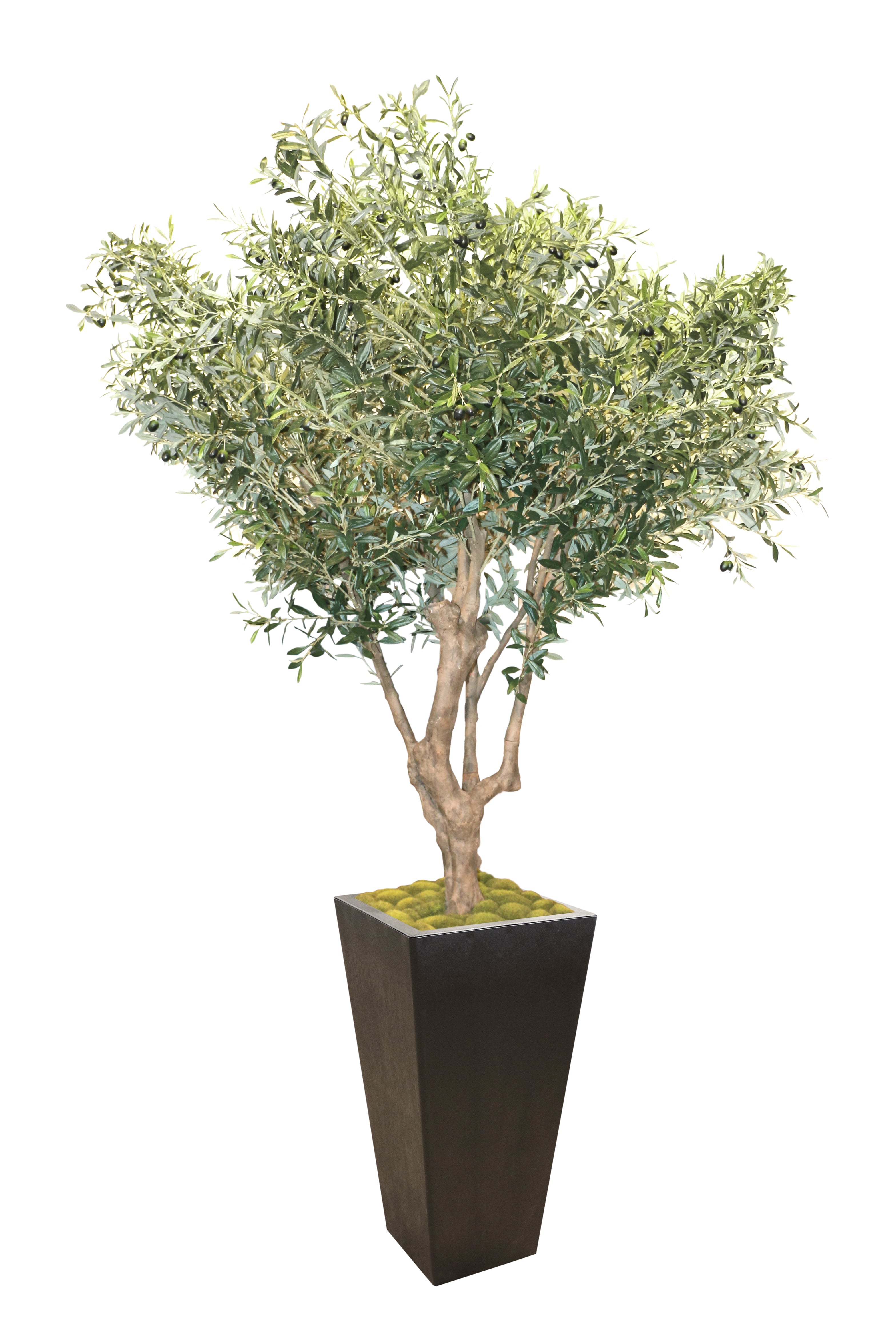 18" W x 36" H Sonata X-Large Planter with Artificial Olive - Large