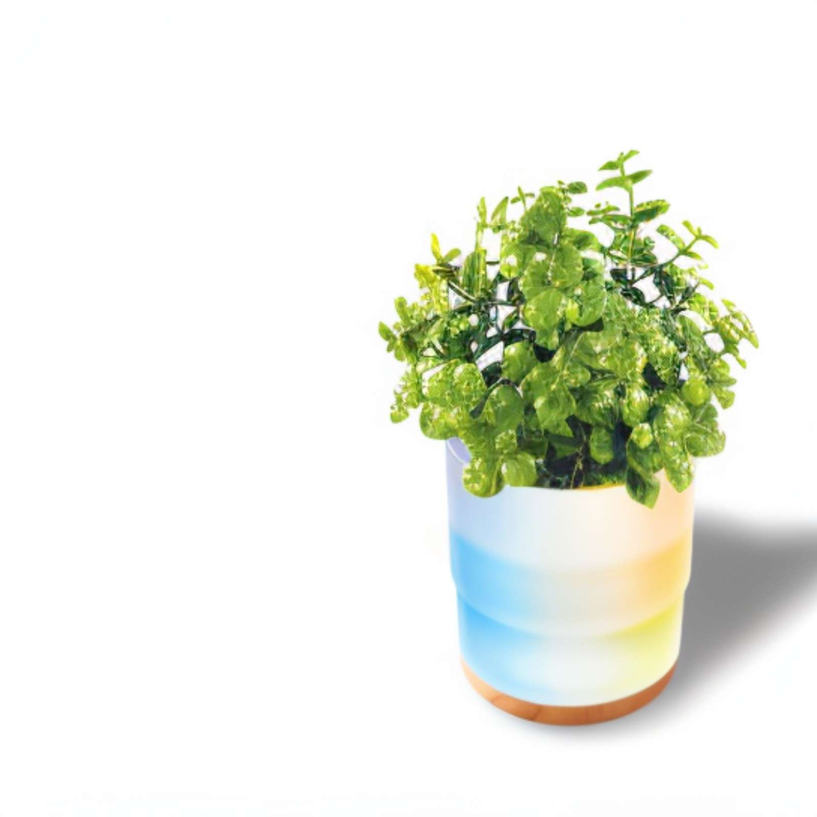 Lomi Plant Aroma Diffuser