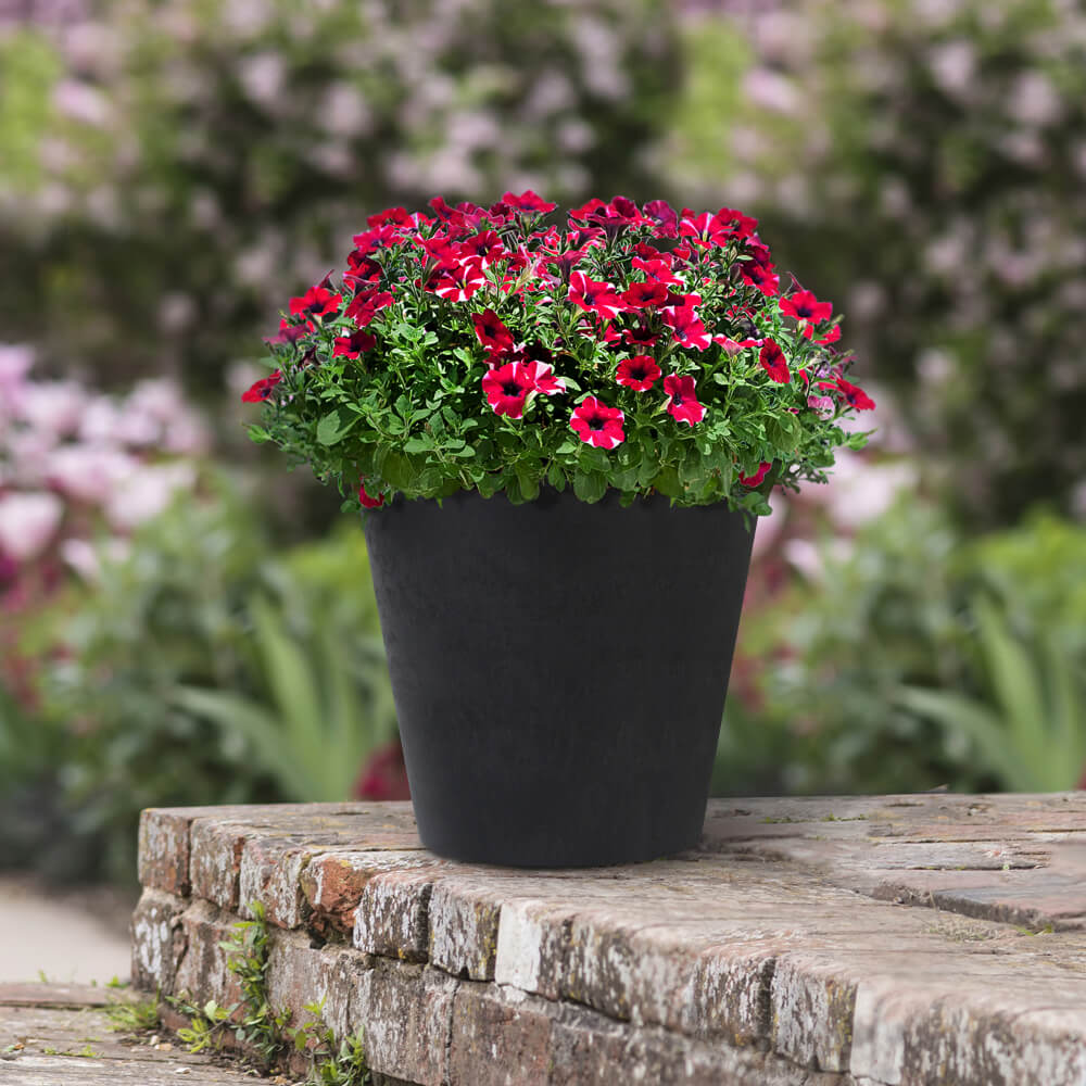 Tierra Verde 15" W x 15" H Ostinato Modern Tapered Self-Watering Planter - Black, Indoor/Outdoor