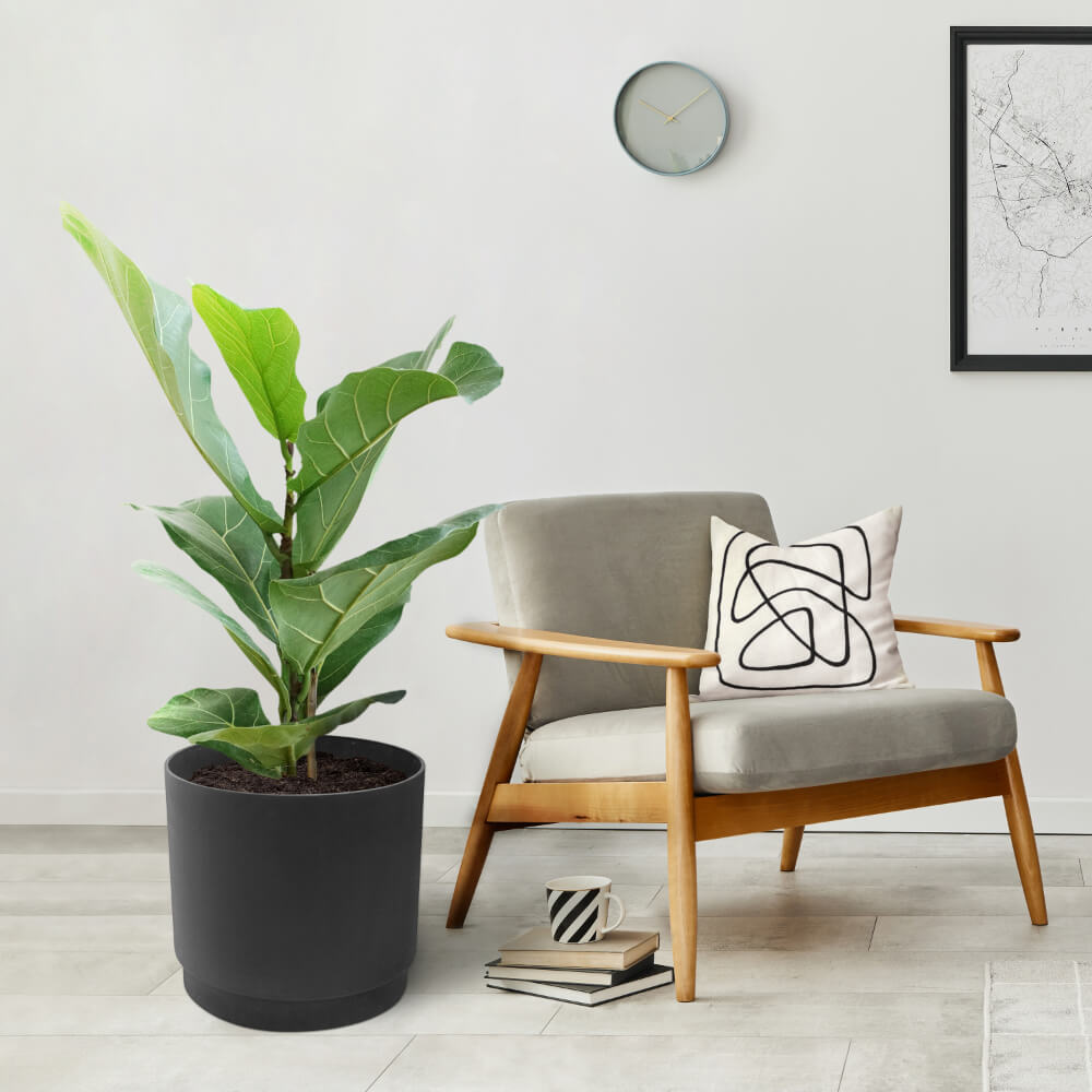 Tierra Verde 15" W x 15" H Alto Recycled Self-Watering Planter - Slate Black, Indoor/Outdoor
