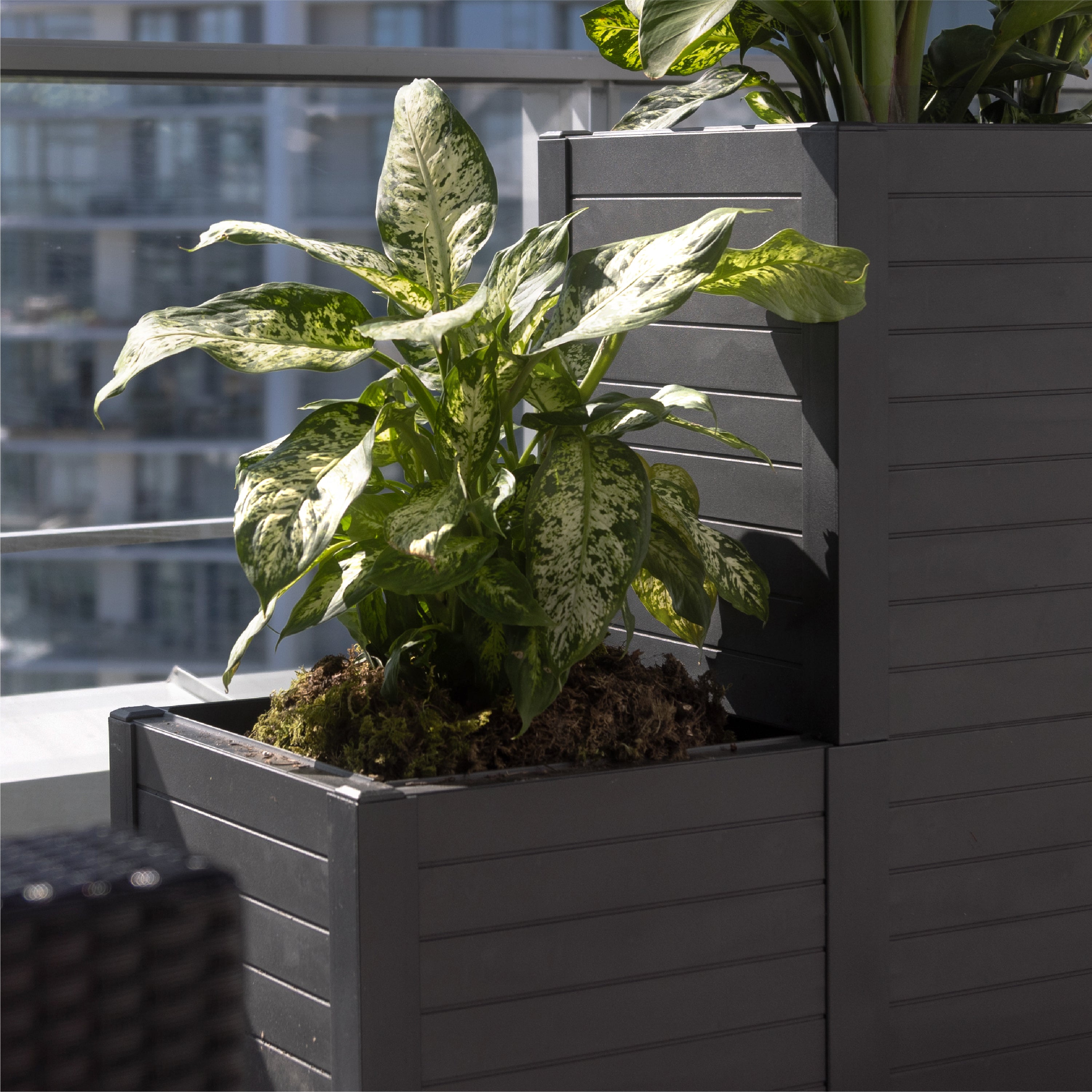 32.5" W x 34.8" H Stepped Planter Box (200L) in Black